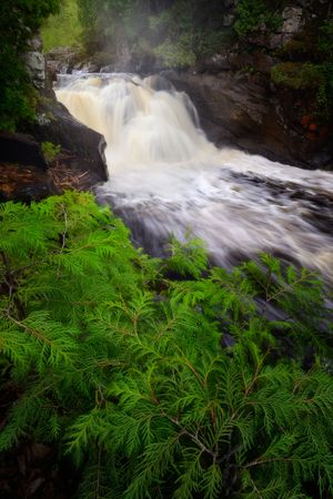 Lush ferns frame a powerful rushing waterfall in a verdant forest setting.