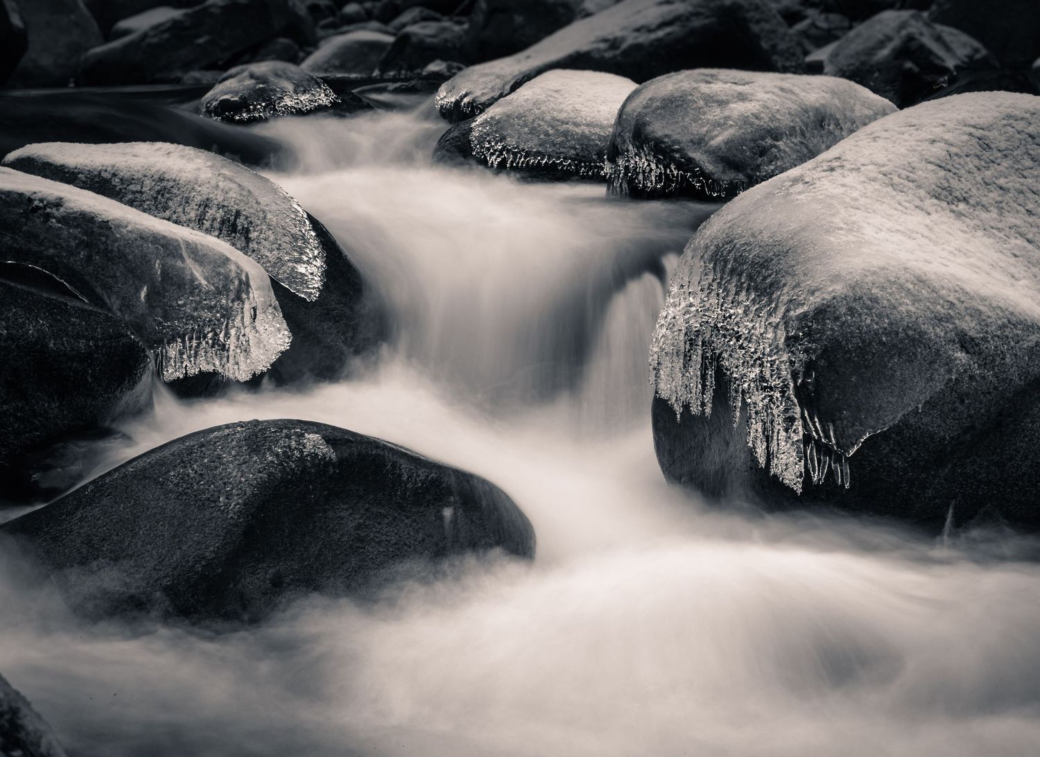 Lynn Creek, Lynn Canyon, North Vancouver