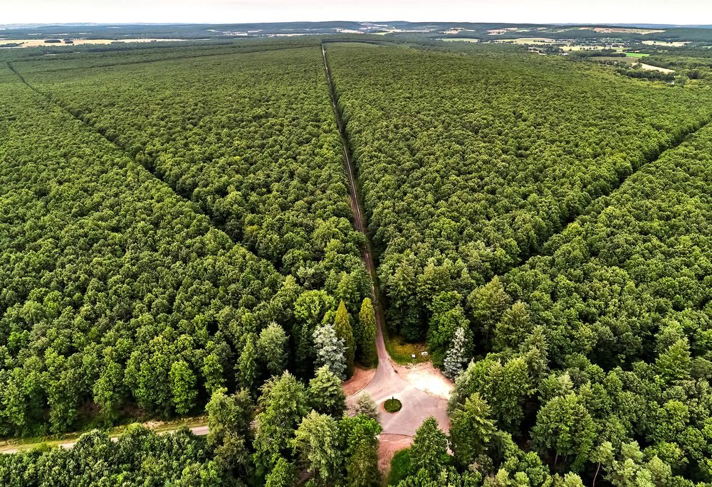 Vue aérienne panoramique d'un vaste paysage boisé avec des routes sinueuses et des clairières.