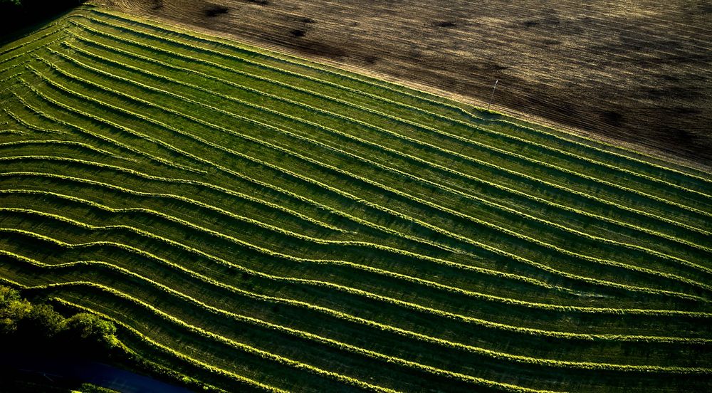 Vue aérienne avec des lignes courbes créant un motif géométrique sur la colline.