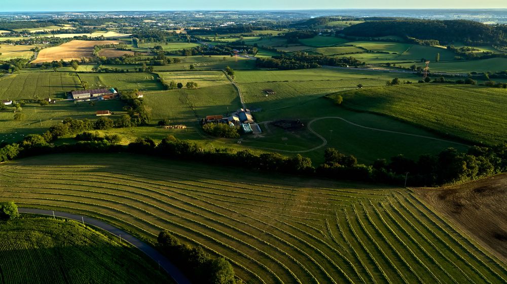 Vue panoramique aérienne de terres agricoles pittoresques avec des collines vallonnées et des champs cultivés s'étendant à l'horizon.