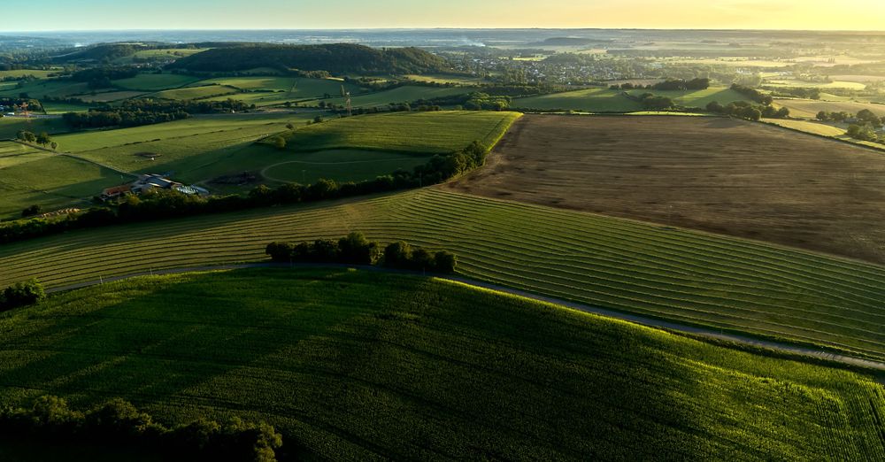 Panoramic vista of terraced farmland with golden sunlight illuminating the rolling landscape.