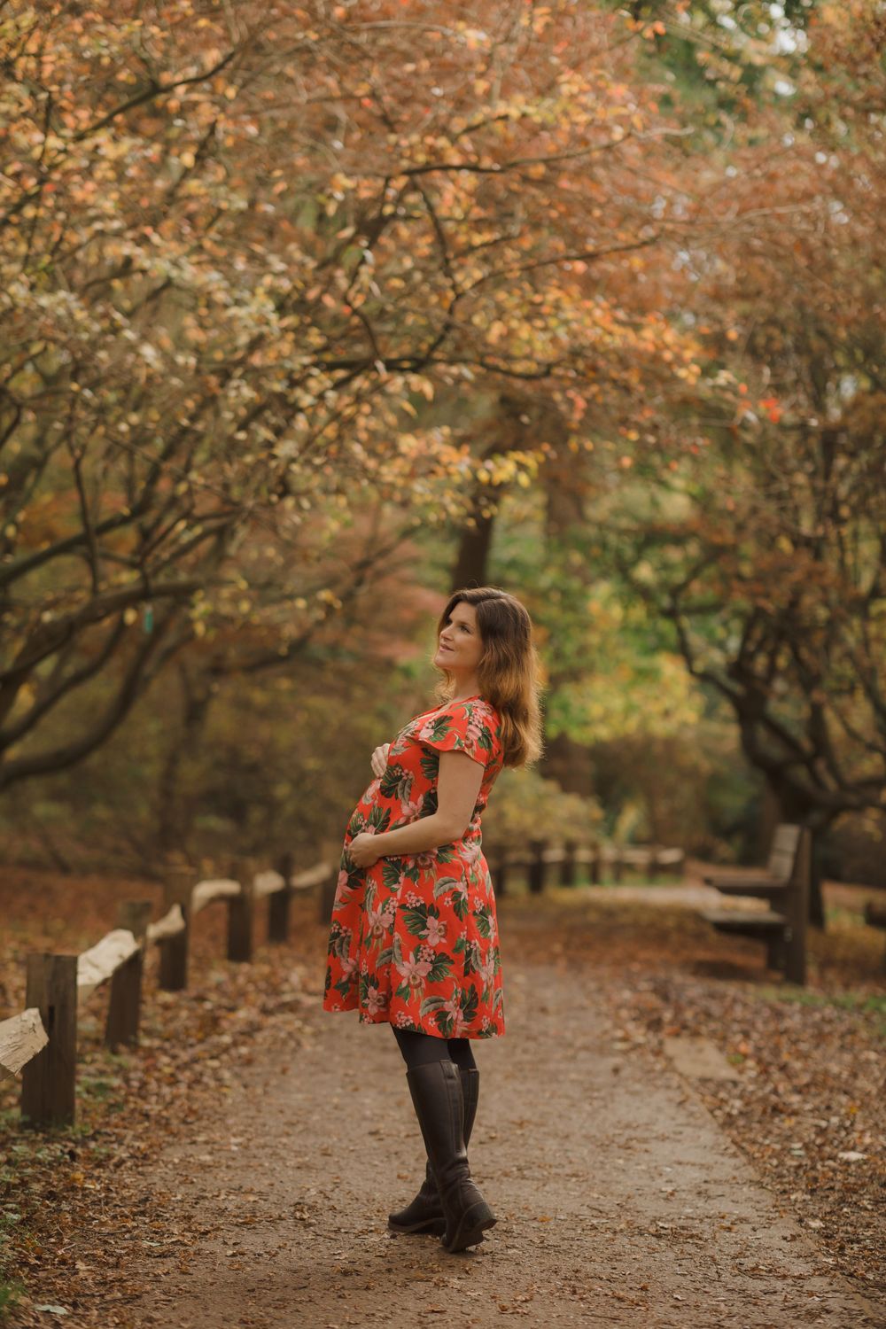A scenic autumn path lined with trees displaying vibrant fall colors and wooden fence posts.