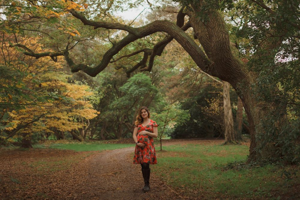 Autumn trees with golden leaves line a winding path through a rustic woodland park setting.