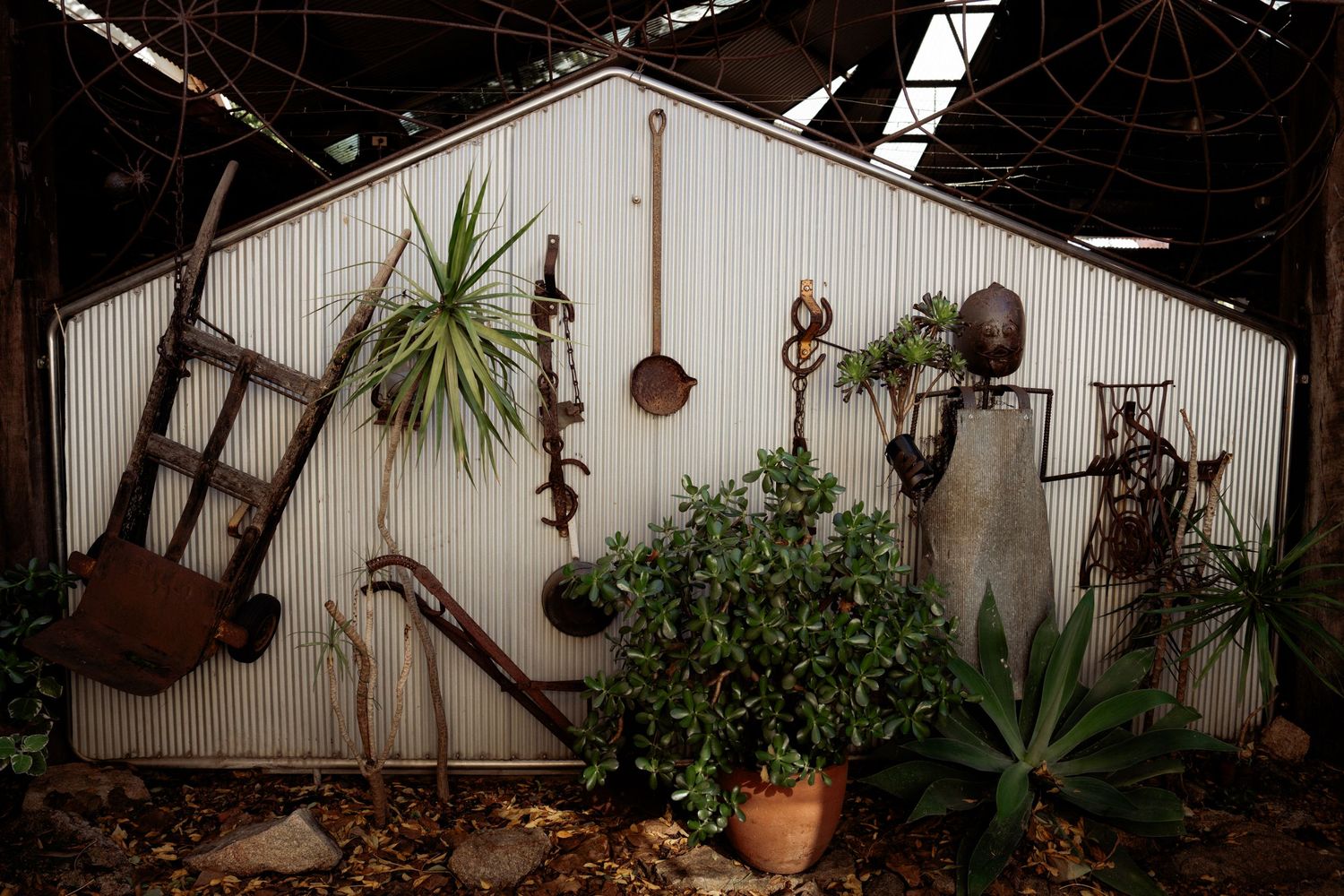 Various potted plants adorn a rustic indoor space with wooden structures and low lighting creating a cozy atmosphere.