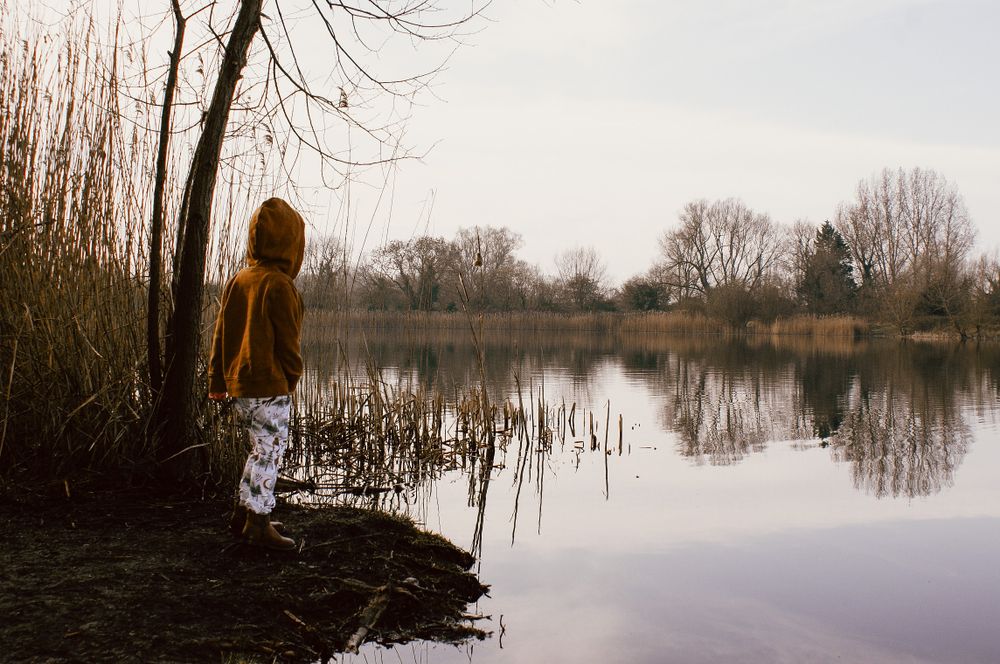 A person in a hooded coat stands by a tranquil winter lake surrounded by bare trees at dusk.