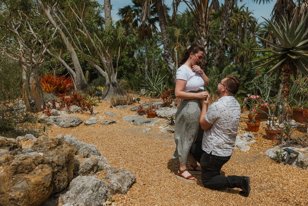 A romantic proposal moment happens in a beautiful succulent garden with stone paths surrounded by tropical plants and rocks.