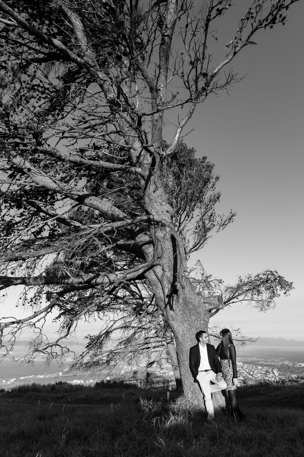 A couple stands beneath a dramatic twisted tree on a hilltop overlooking a distant vista in black and white.