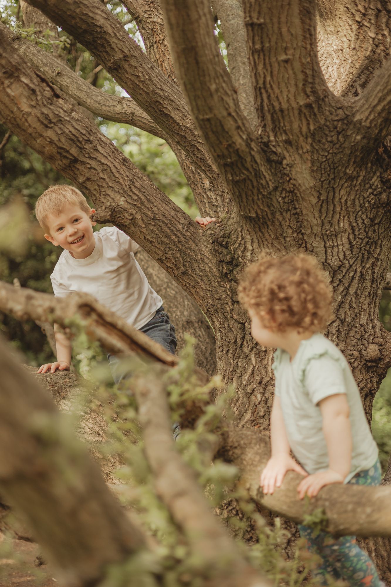two children climb a tree on tooting common