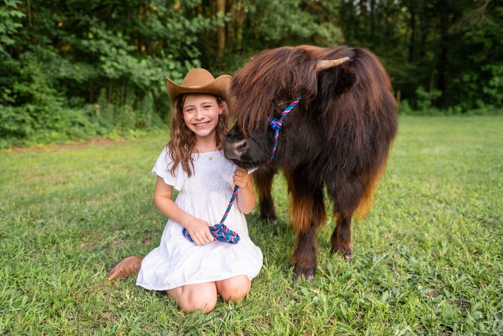 A person in a white dress sits and plays with a dark brown Shetland pony in a grassy meadow.