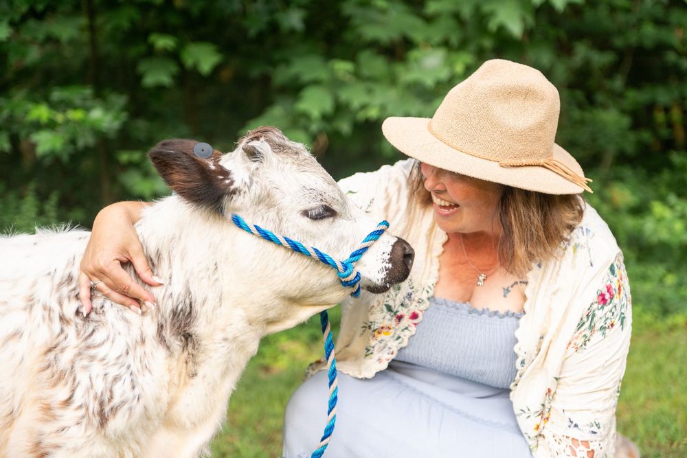 English Setter dog with white and speckled coat happily interacts with someone wearing a black shirt in outdoor garden setting.