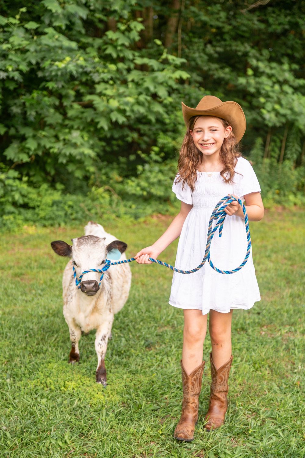 Young person in cowgirl boots and tan cowboy hat walking a miniature cow on blue lead rope in grassy field.