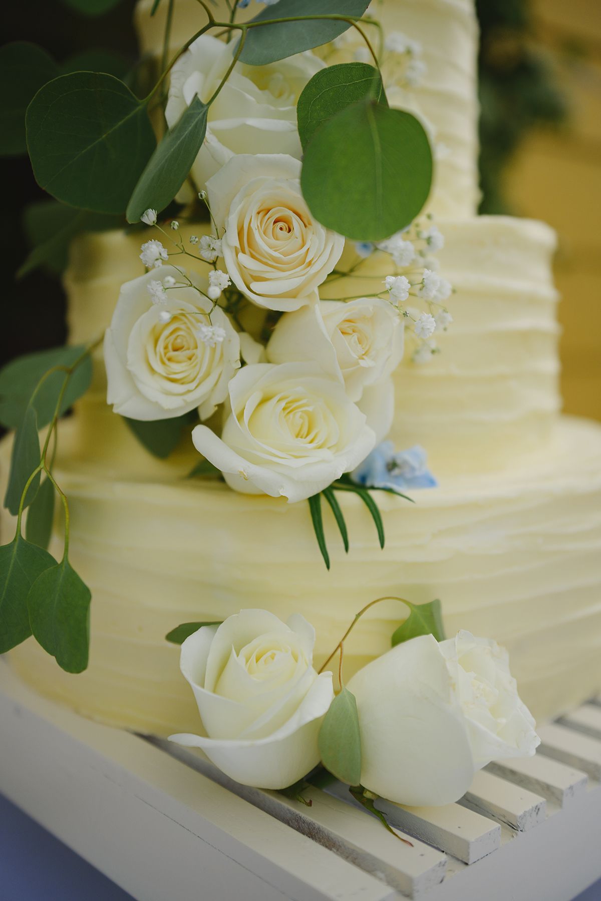 Blackfoot wedding photographer ShutterGirl  cake details at backyard wedding in Blackfoot idaho