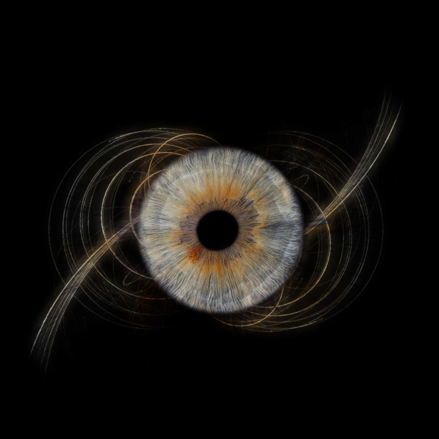 Artistic digital illustration showing a blue and orange iris pattern emerging from darkness with glowing circular lines.