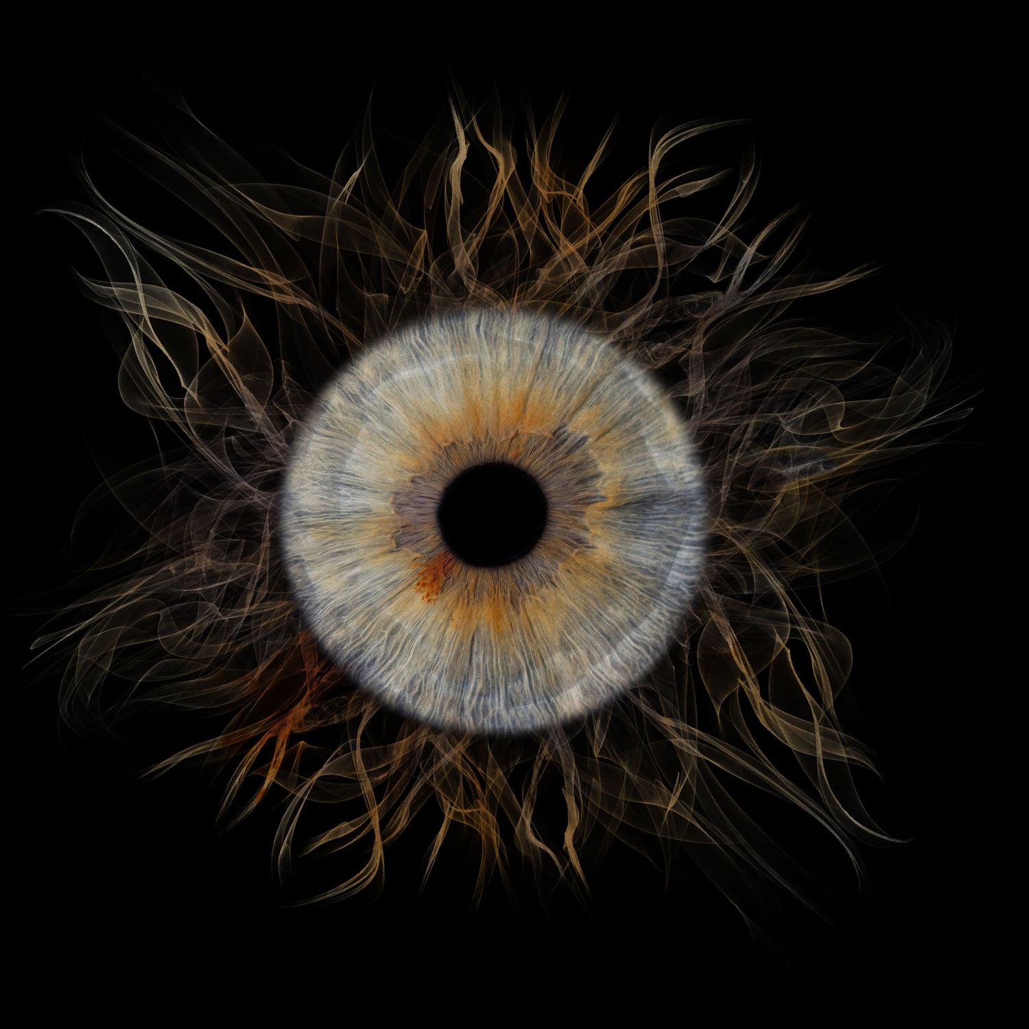 Close-up photo of a human iris with striking wispy patterns resembling a dandelion against a black background.