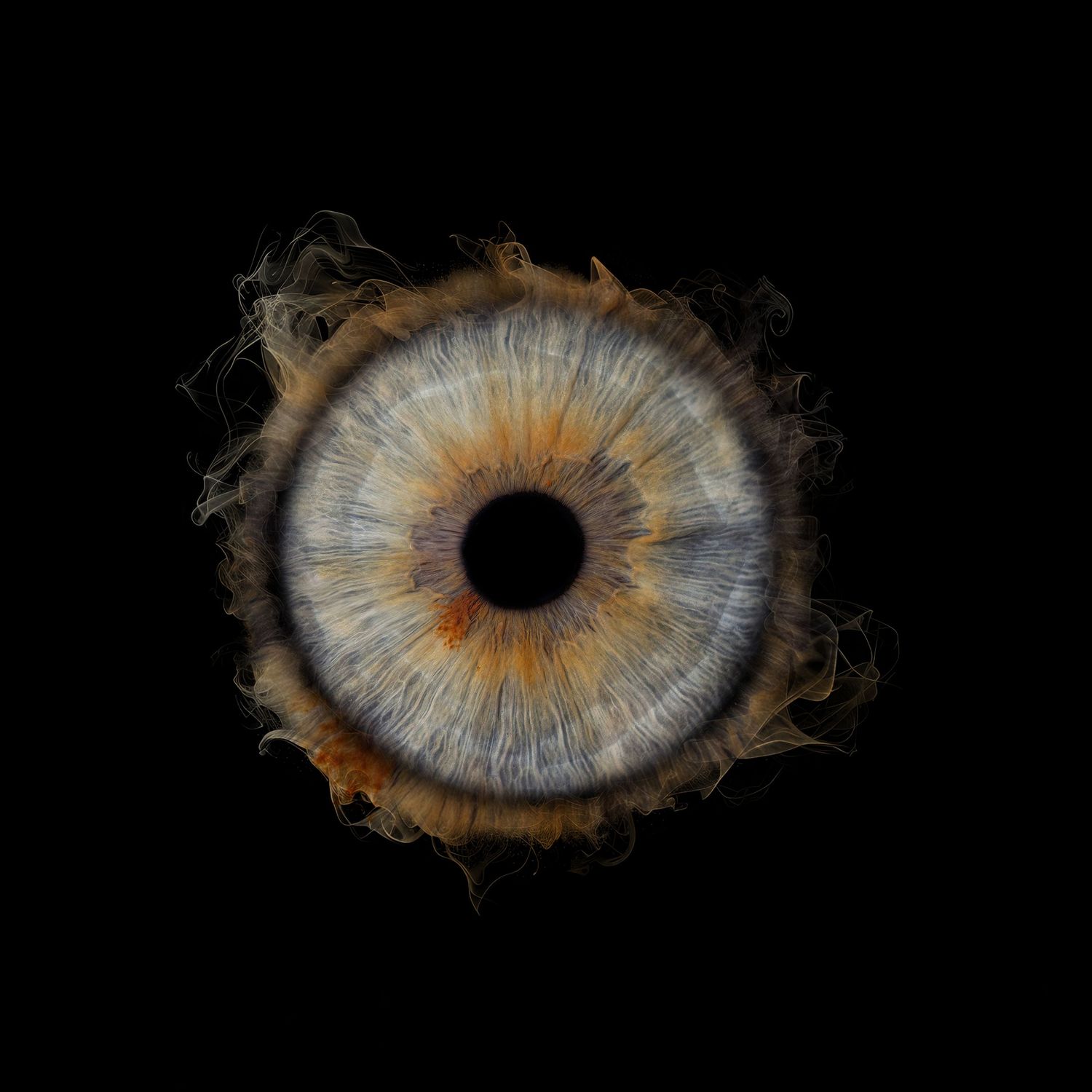 A macro photograph shows a striking blue-gray human eye with detailed iris patterns emerging from dark shadows.