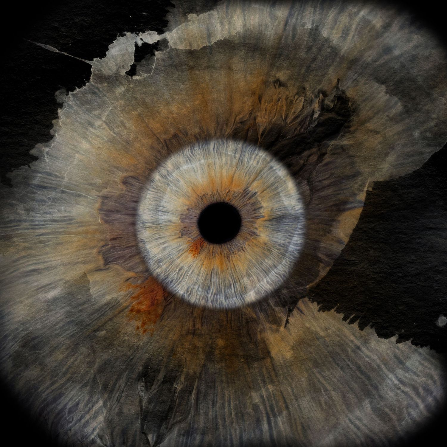 Macro photography of a blue human iris with intricate details and dark orange tints in a circular artistic composition.
