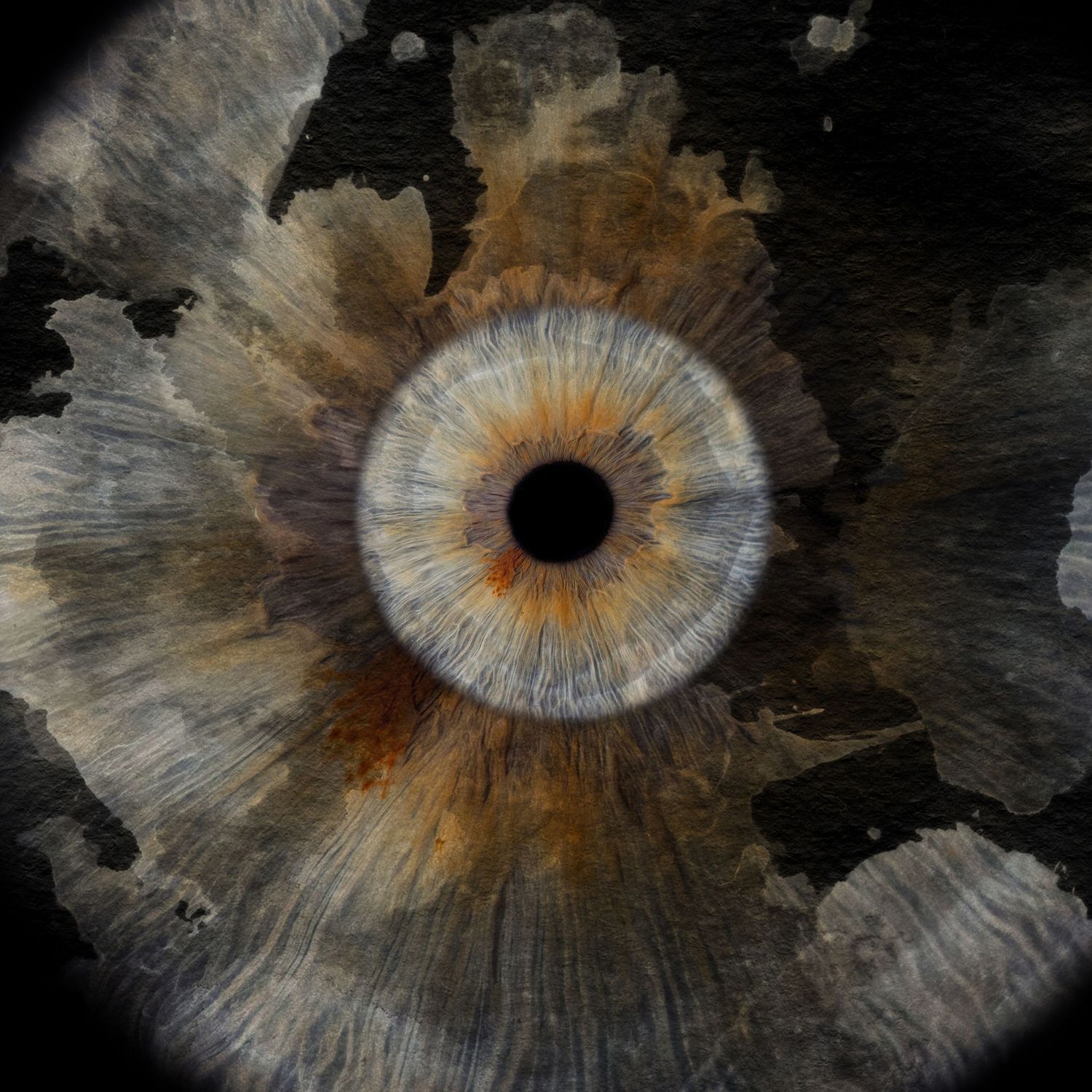 Macro photograph of a brown and grey iris with detailed texture and radiating patterns resembling cosmic art.