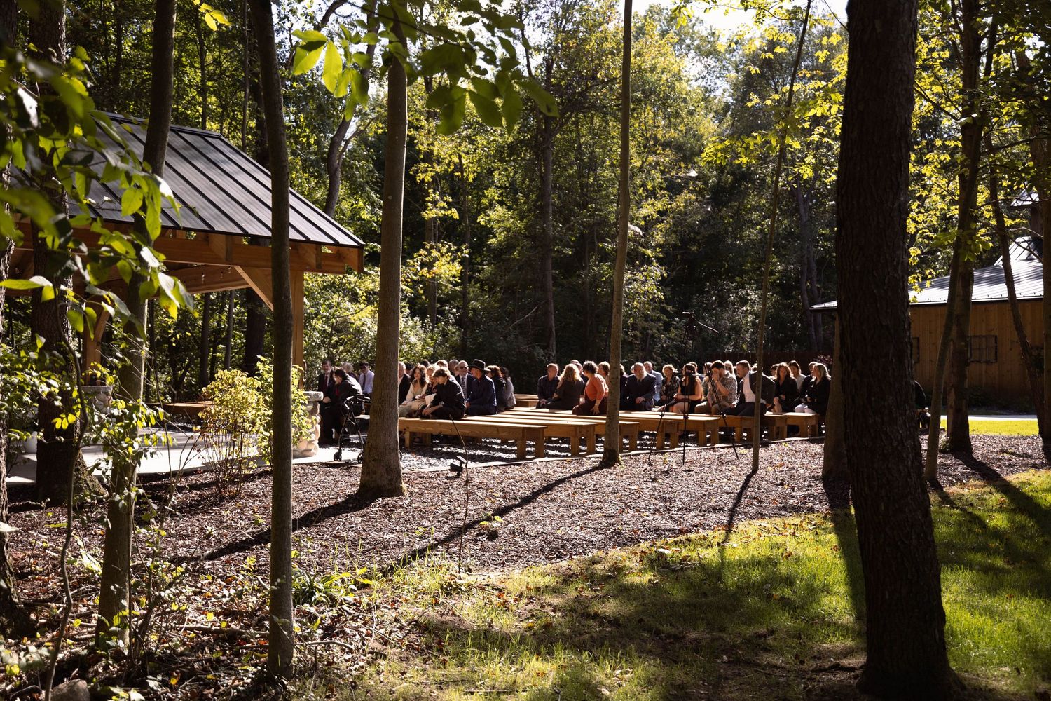 Scenic forest pathway with sunlight filtering through trees leading to wooden structures.