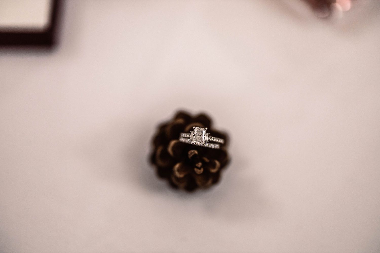 Diamond engagement ring balanced on top of a pinecone with shallow depth of field.