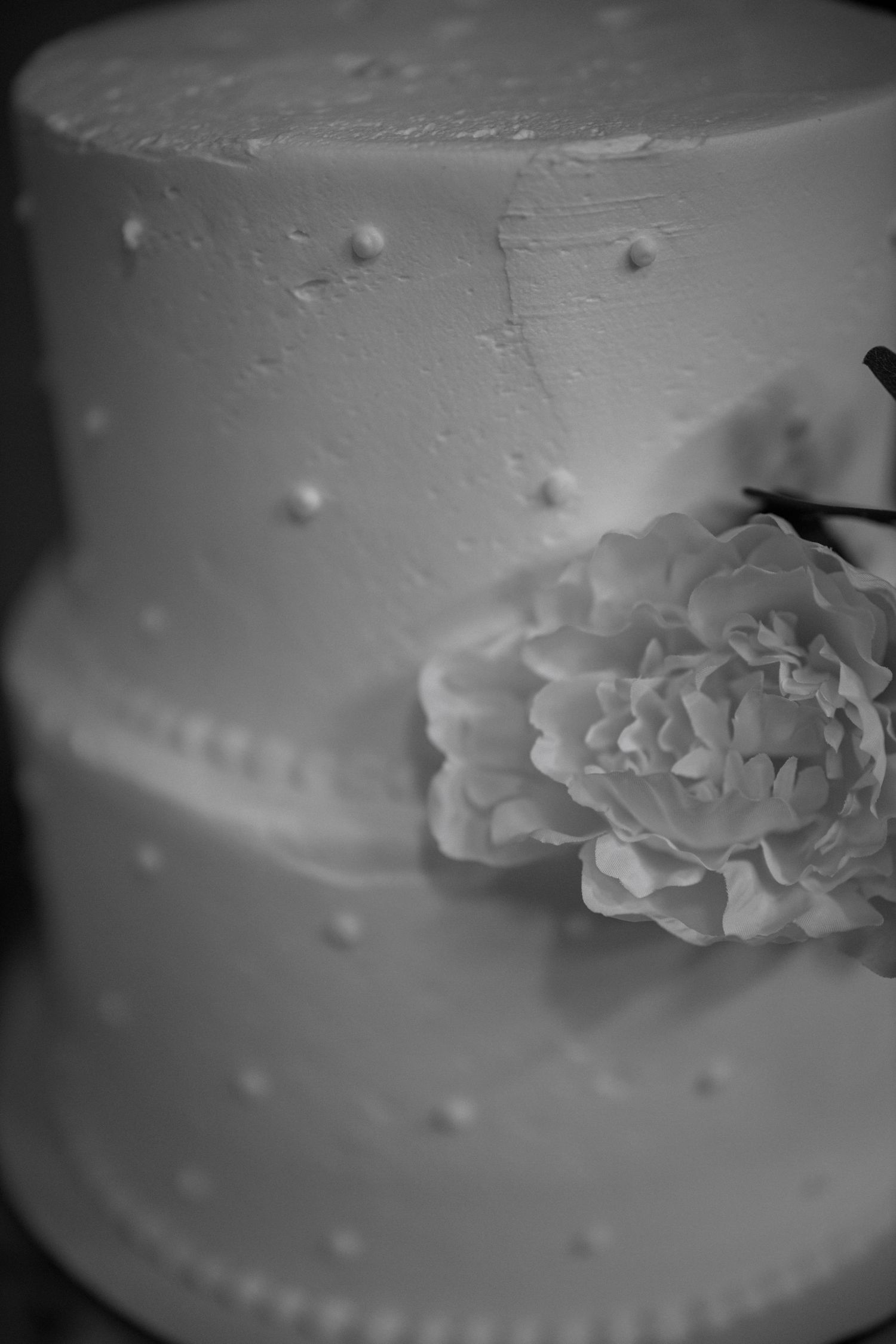 Detailed macro shots of wedding cake decorations showing delicate white floral patterns.