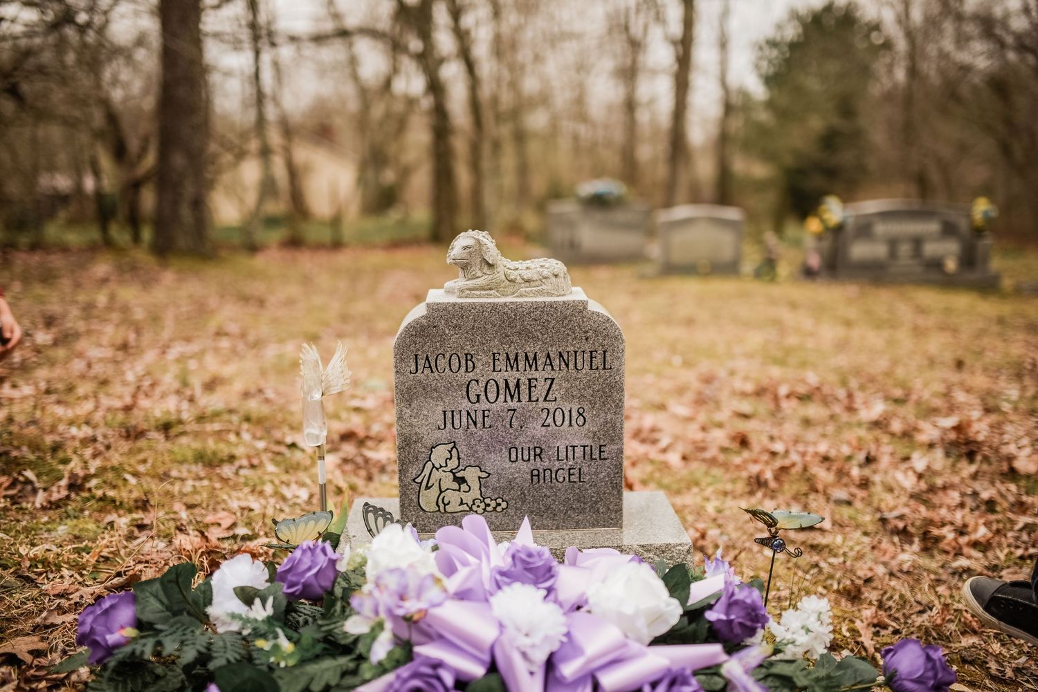 Cemetery headstone of a baby boy with purple and white floral arrangements in autumn leaves.