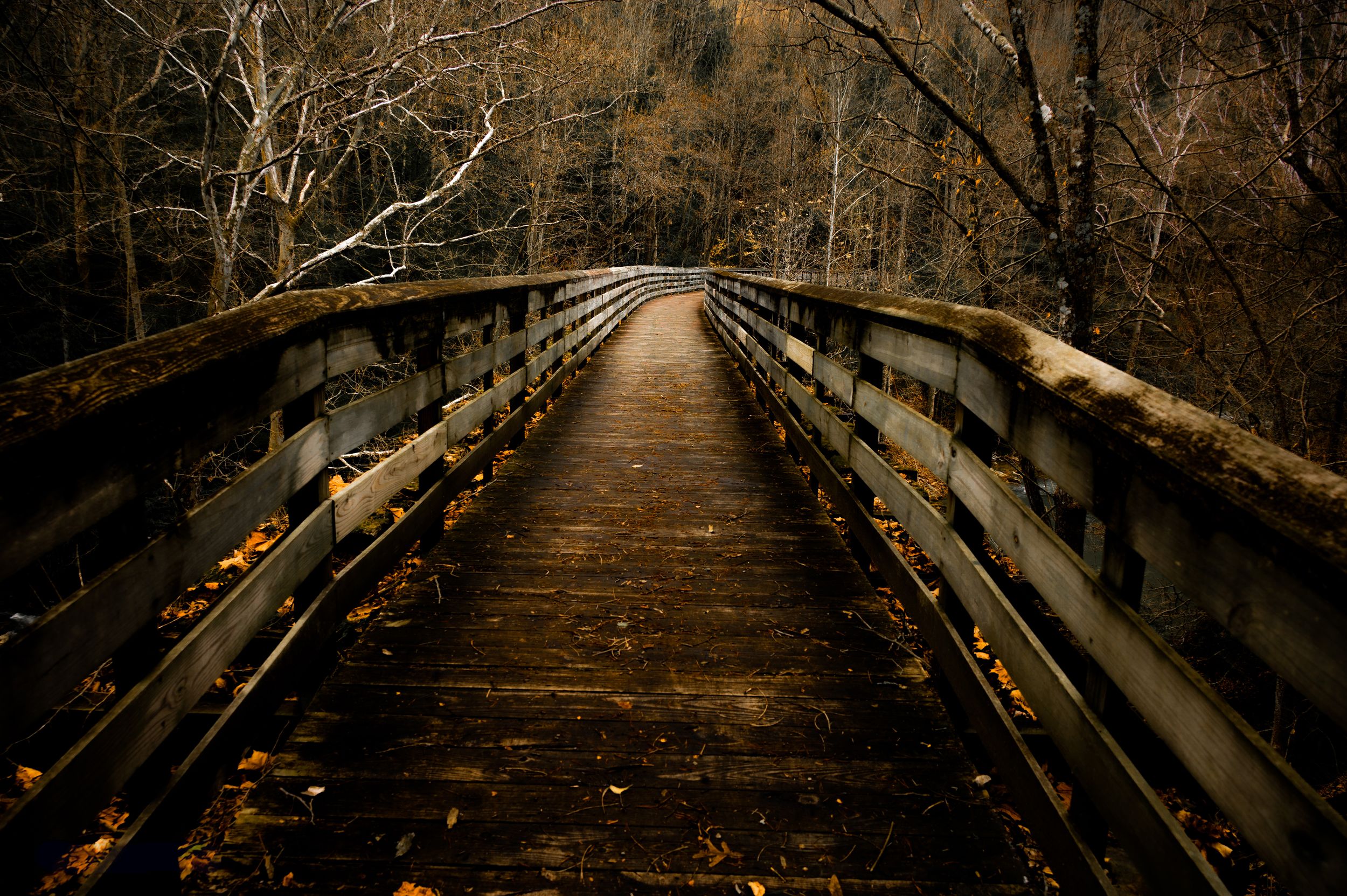 A rustic wooden boardwalk trail winds through autumn forest with fallen leaves and bare trees.