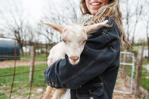 A series of photos showing someone holding and cuddling with a white fluffy sheep against a rural backdrop.