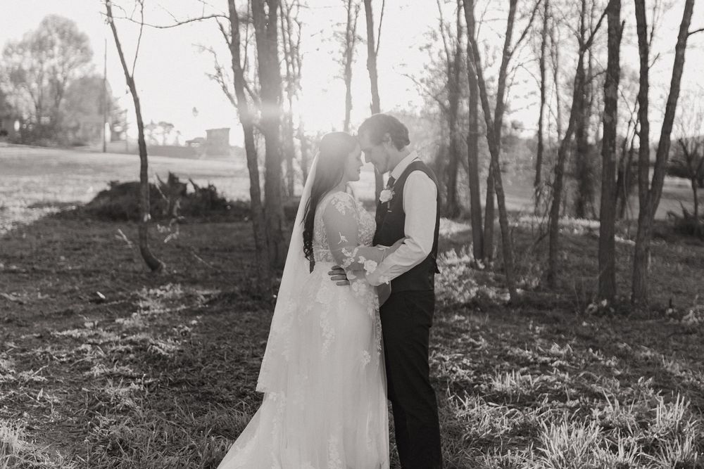 Sunlit wedding portrait in wooded setting with dramatic backlighting.