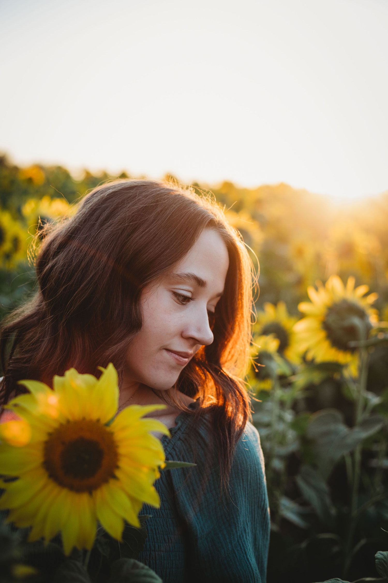 Sunlit portrait in sunflower field with glowing sunset light and green sweater during golden hour.