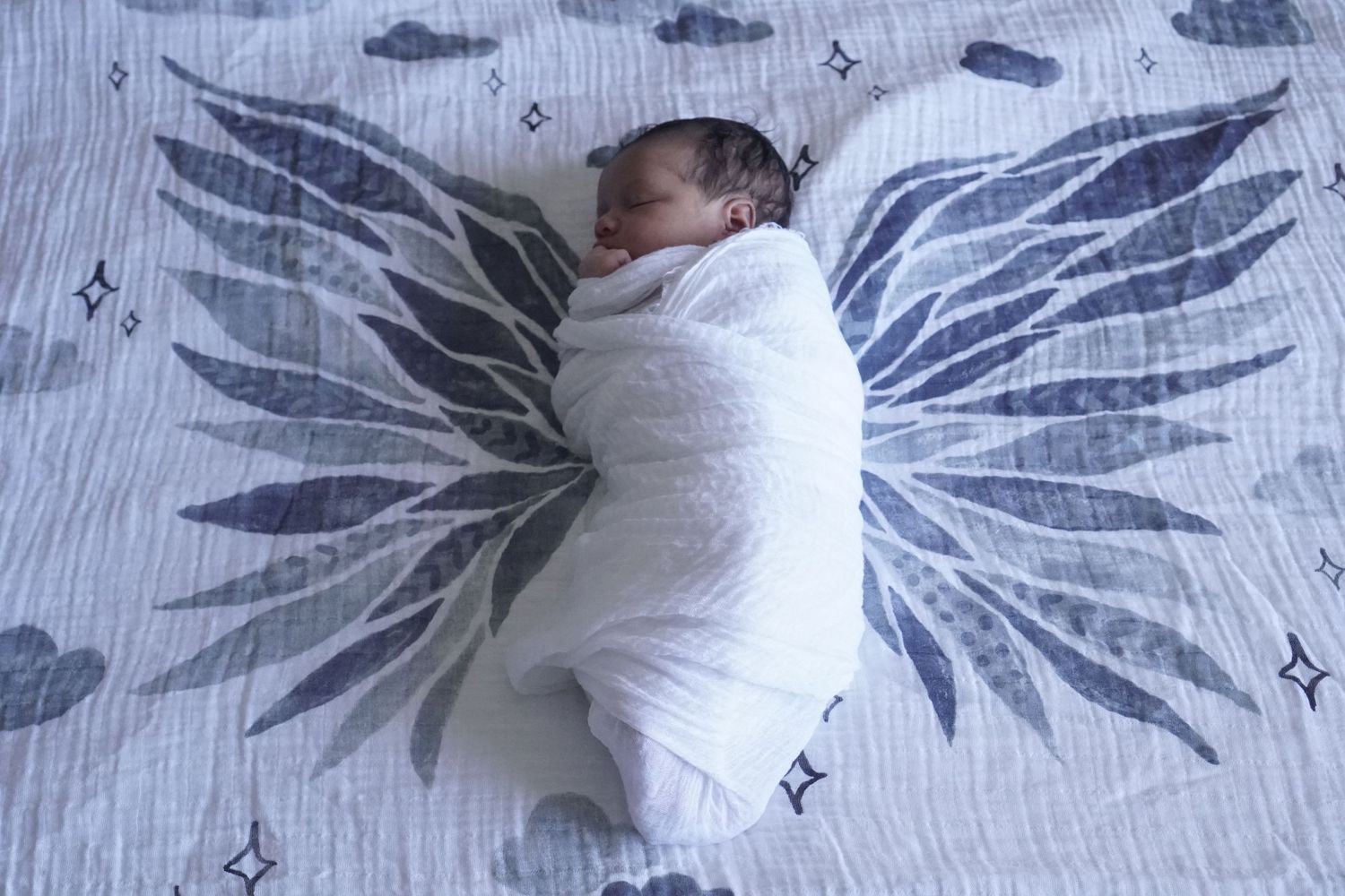 Newborn baby swaddled in white blanket on butterfly wing patterned background.
