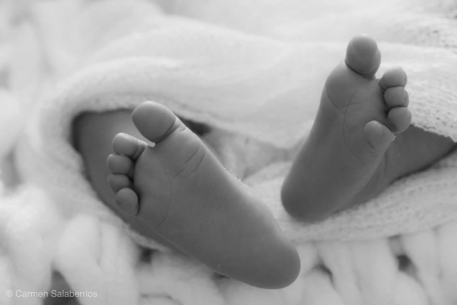Close-up black and white photograph of tiny newborn baby feet on white fabric.