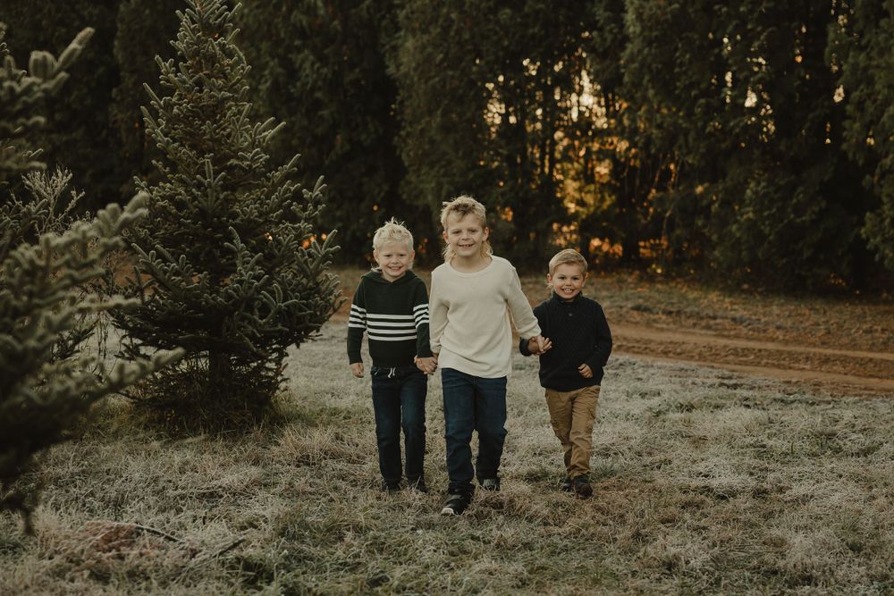 Three children walking together through an evergreen forest at sunset.