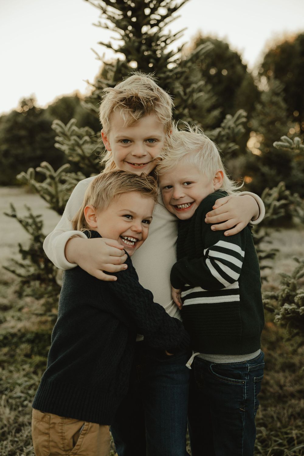 Three siblings share a warm embrace among evergreen trees during a sunset photoshoot.