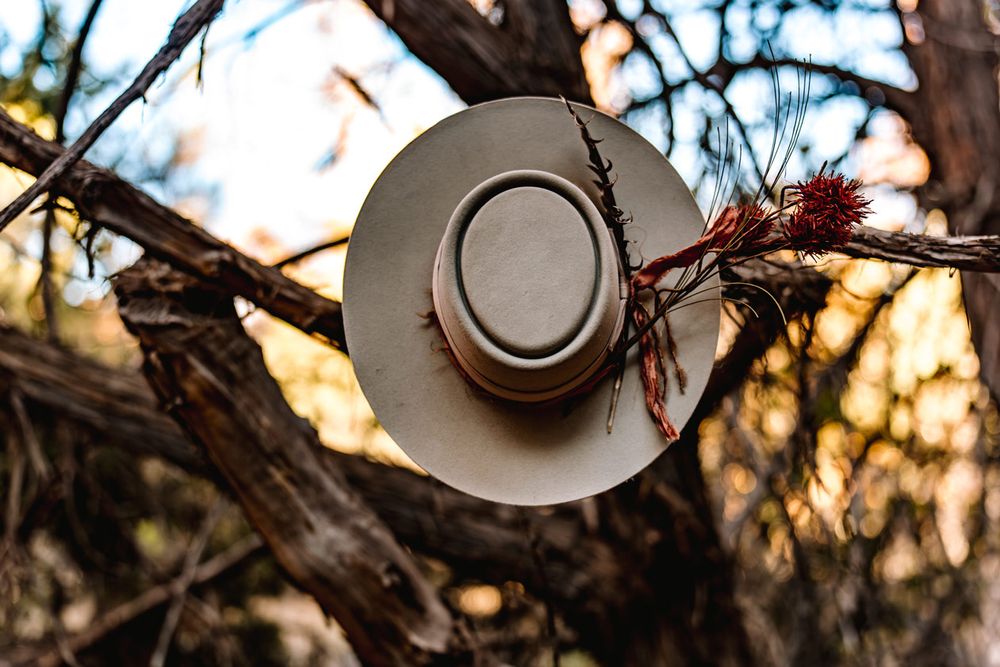 A brown cowboy hat hangs on a tree branch during golden hour sunset.
