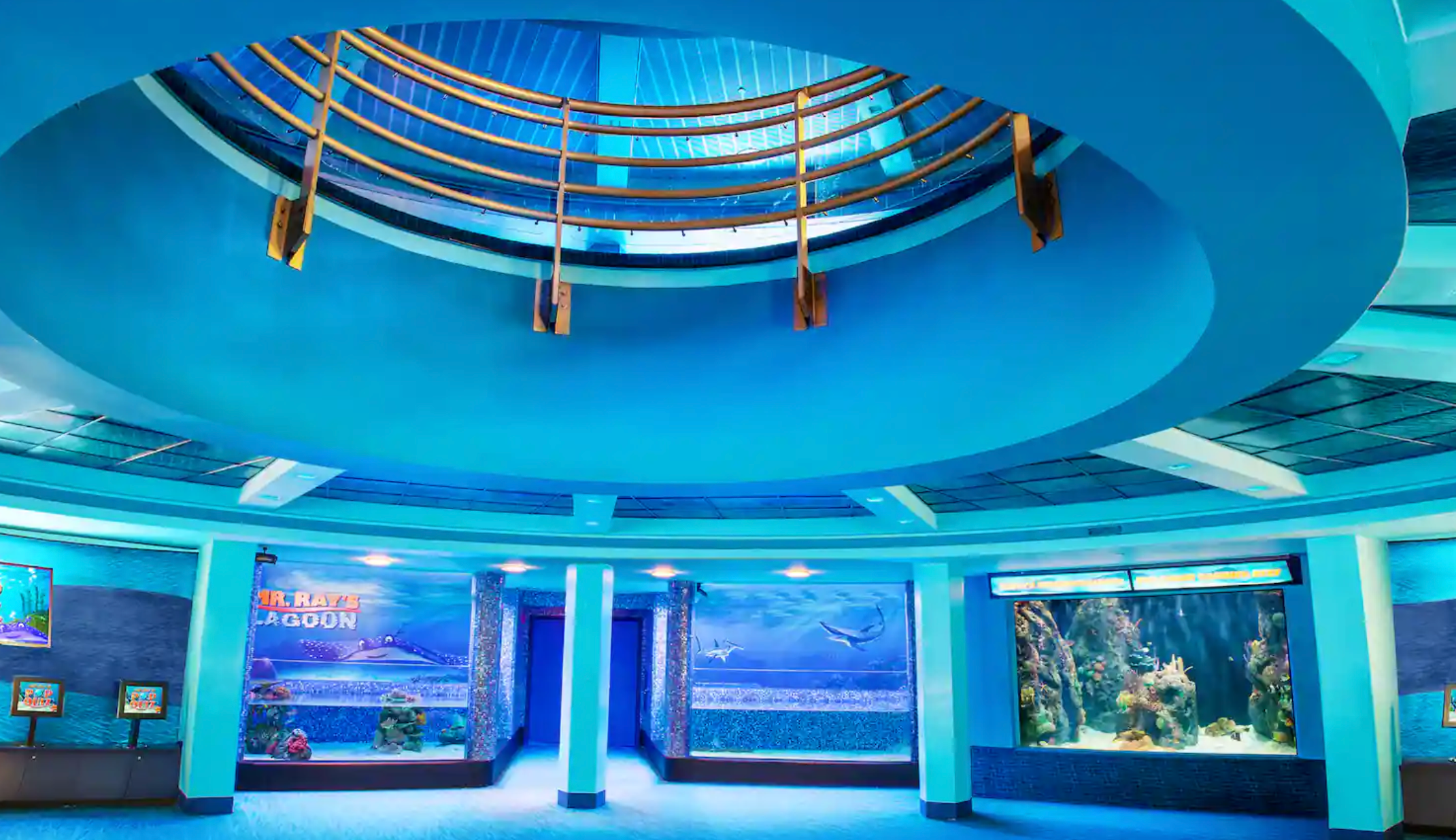 Modern television news studio interior with curved blue walls, illuminated ceiling details, and built-in display monitors.
