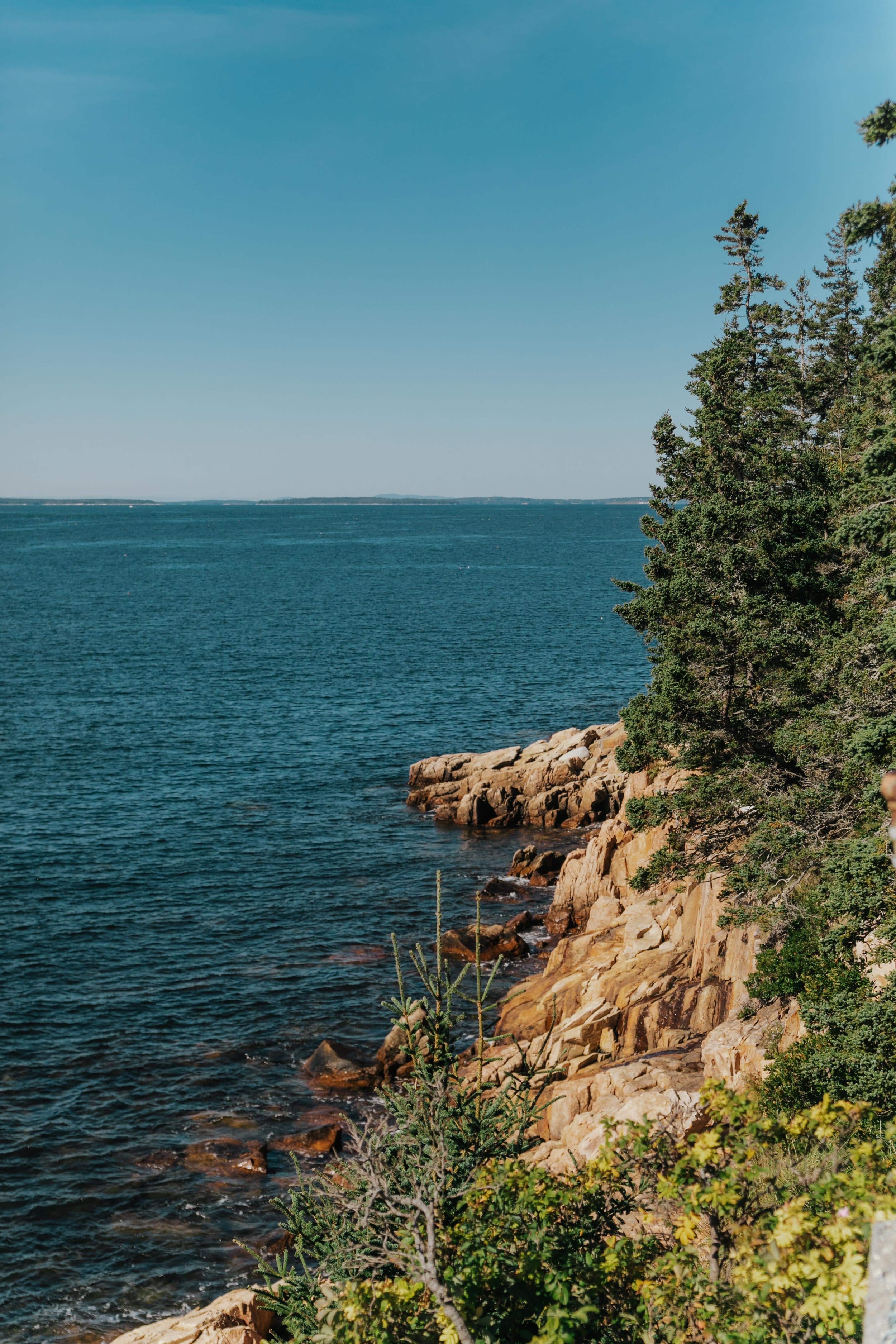 Rocky coastal cliffs with pine trees overlooking deep blue ocean waters on a clear summer day in Maine.