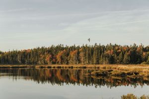 A serene lake reflects autumn trees along the shoreline with golden foliage under an overcast sky.