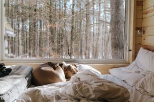 Cozy bedroom with a large window overlooking a snowy forest, featuring rumpled white bedding and a sleeping dog.