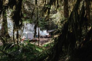 Mossy forest trail leads to a misty waterfall cascading down rocky cliffs in a lush Pacific Northwest landscape.