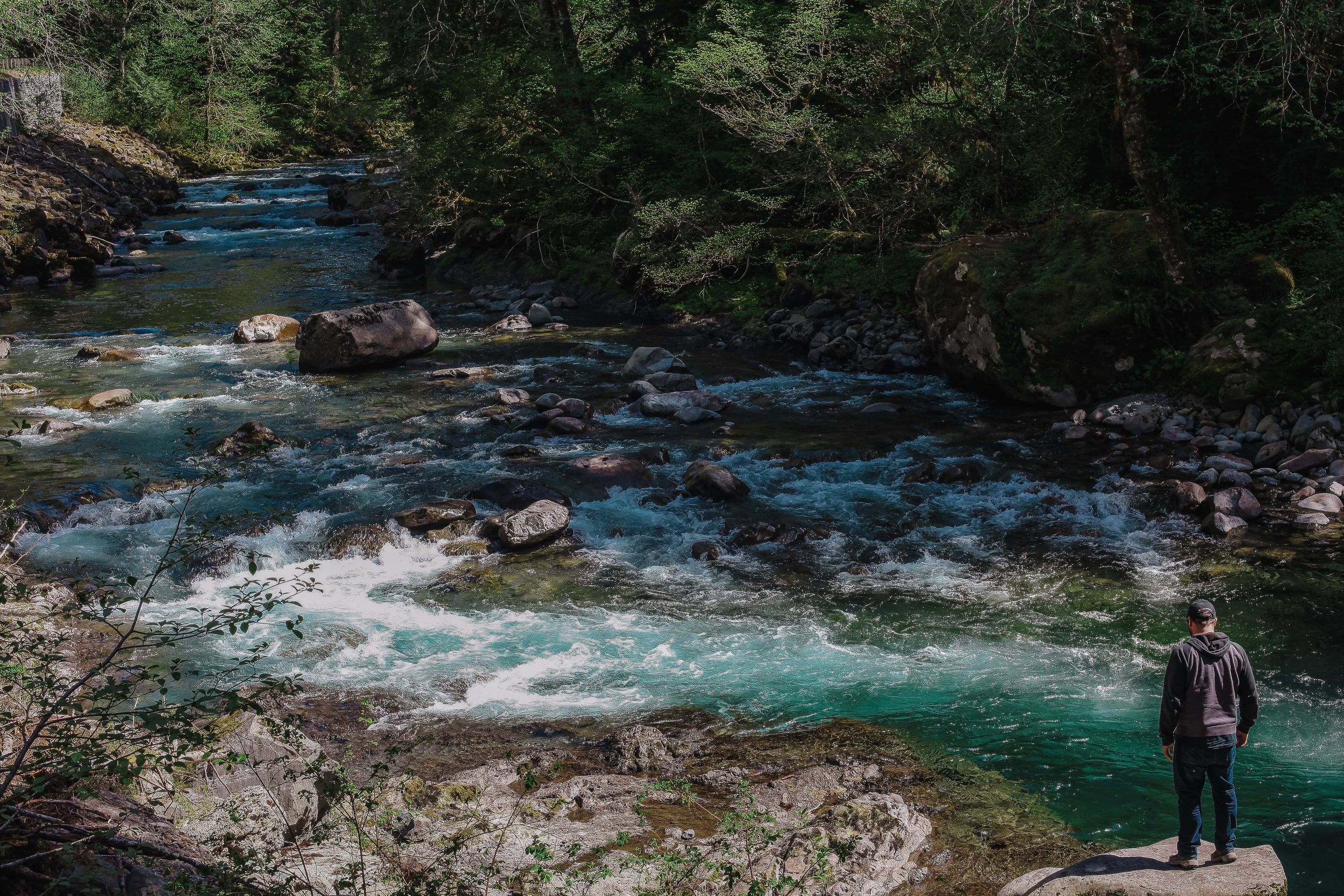 A person stands at the edge of a rushing mountain stream with turquoise waters flowing through a wooded forest setting.