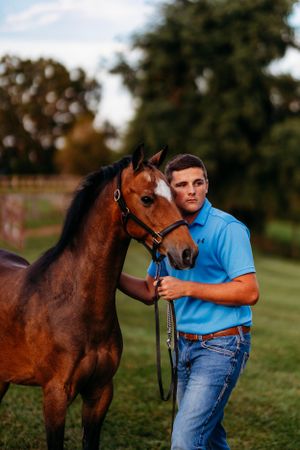 Young man in blue polo shirt standing beside a bay horse with white blaze in a green pasture.