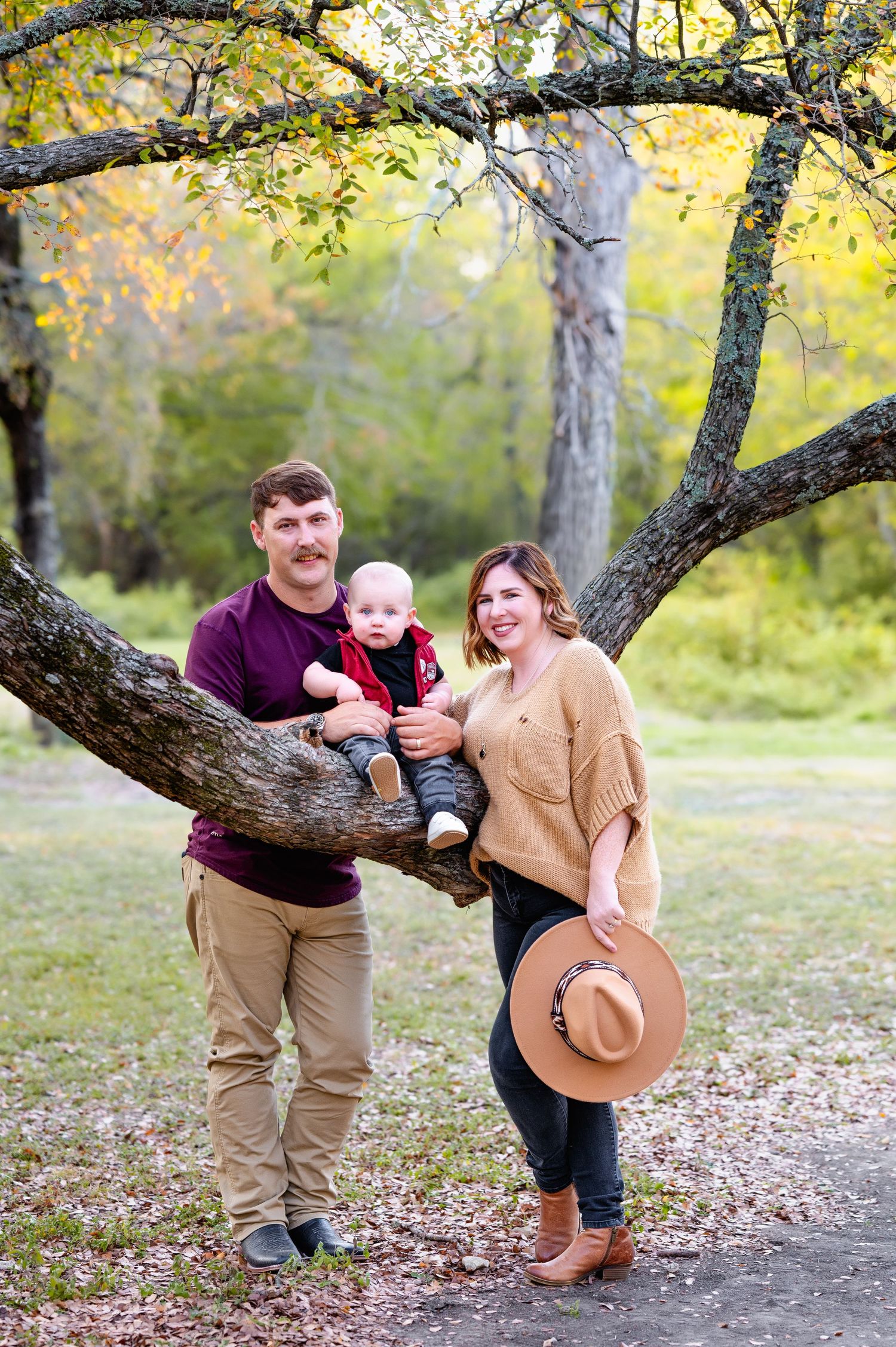 forney family poses on tree branch during mesquite fall family mini photo session by dallas area family and lifestyle newborn photographer