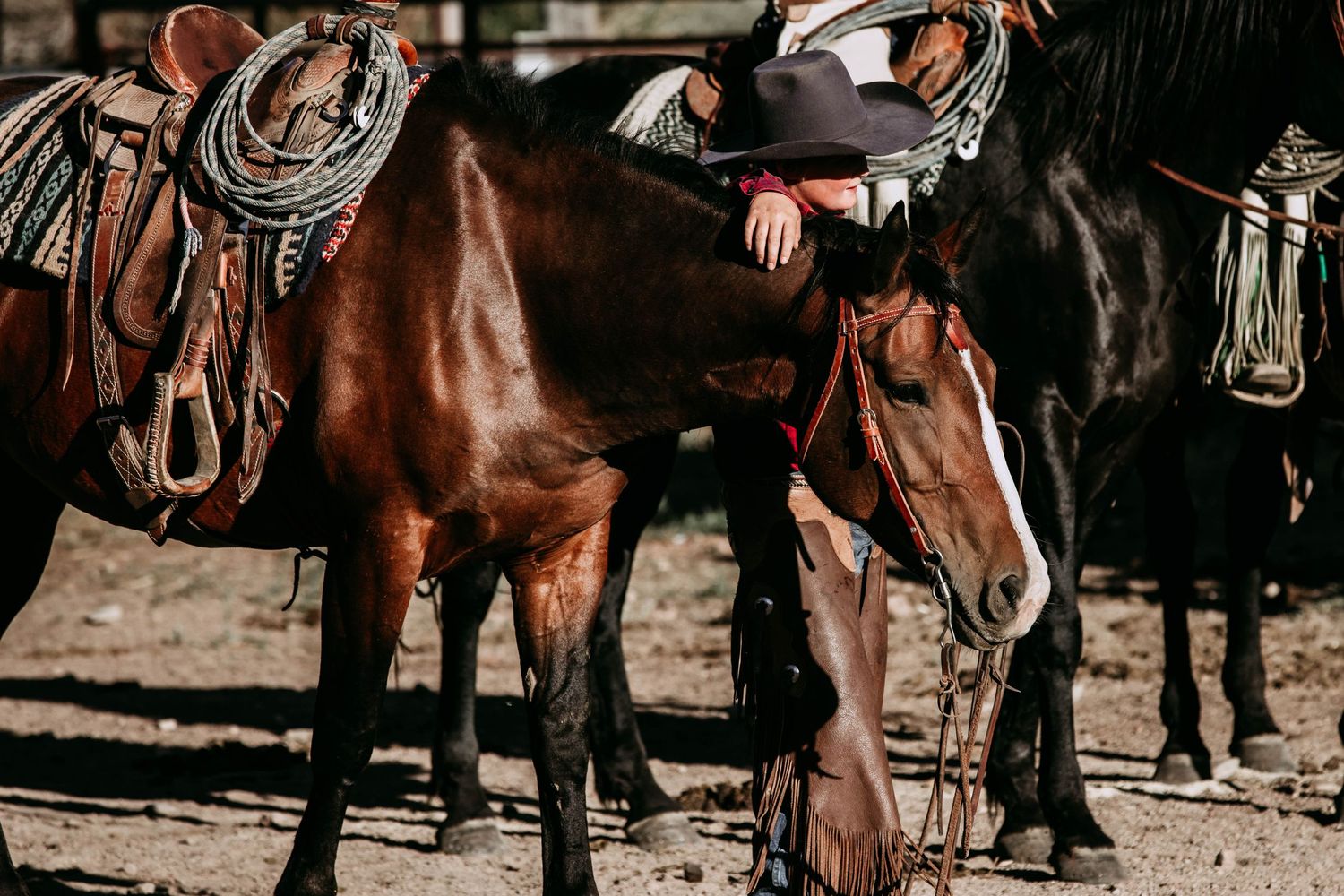 A saddled brown horse stands among other horses at a ranch.