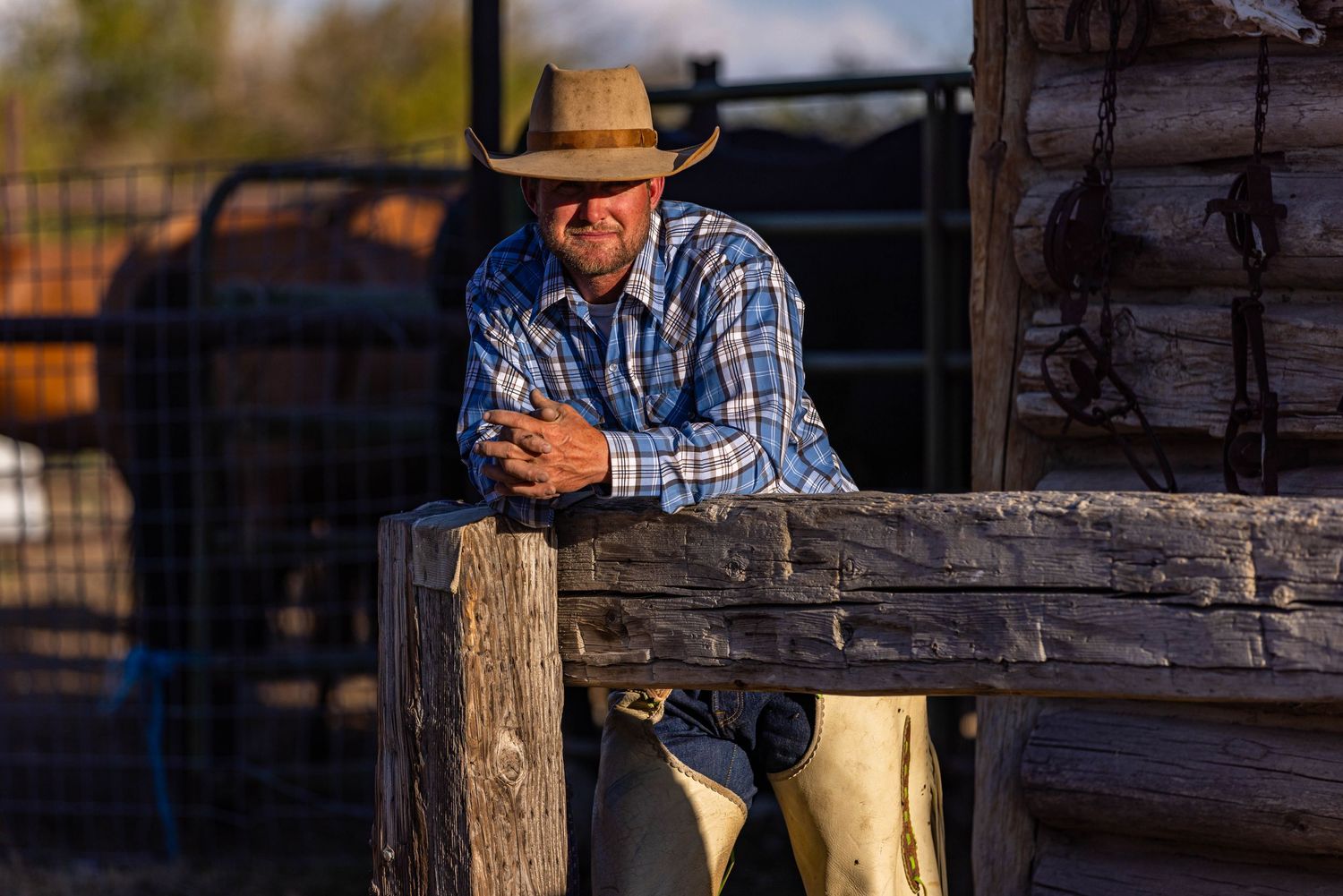 Cowboy leaning on a rustic wooden fence at sunset.