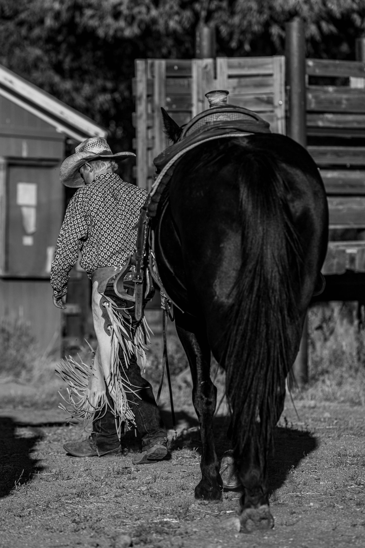A black and white photo of someone in western wear leading a large dark horse near wooden stables.
