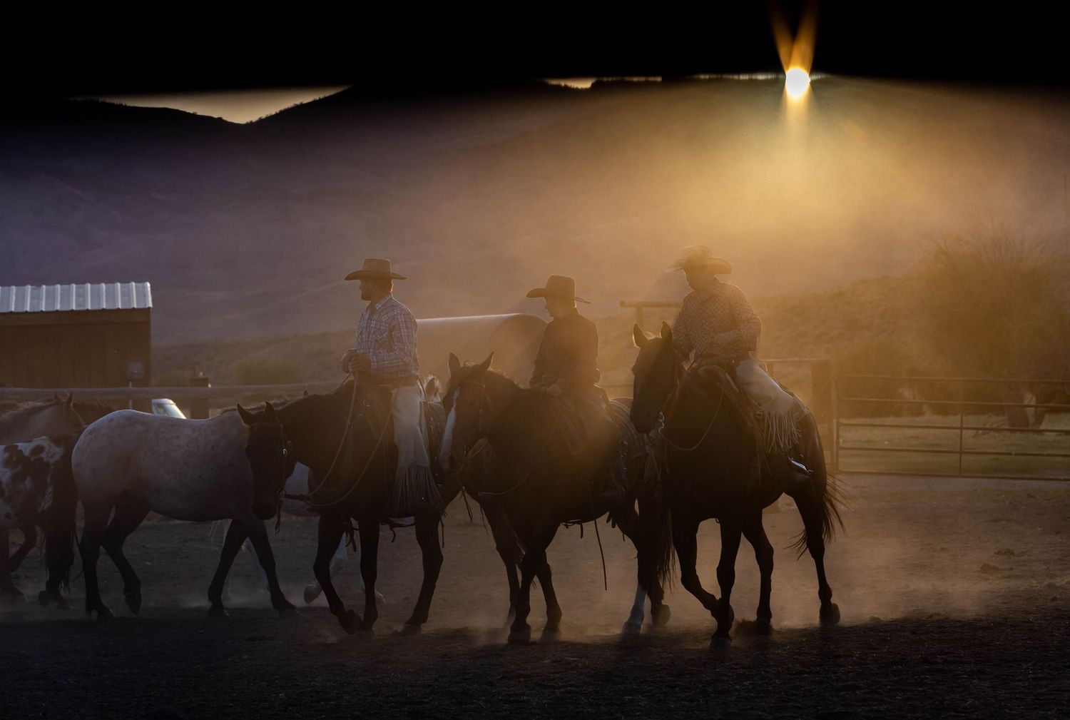 Riders on horseback create a dusty scene at dusk with dramatic lighting and long shadows.