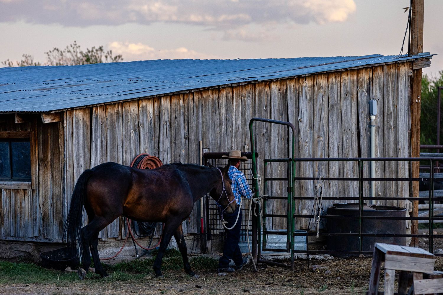 Cowboy returns his horse to the corral after a long day