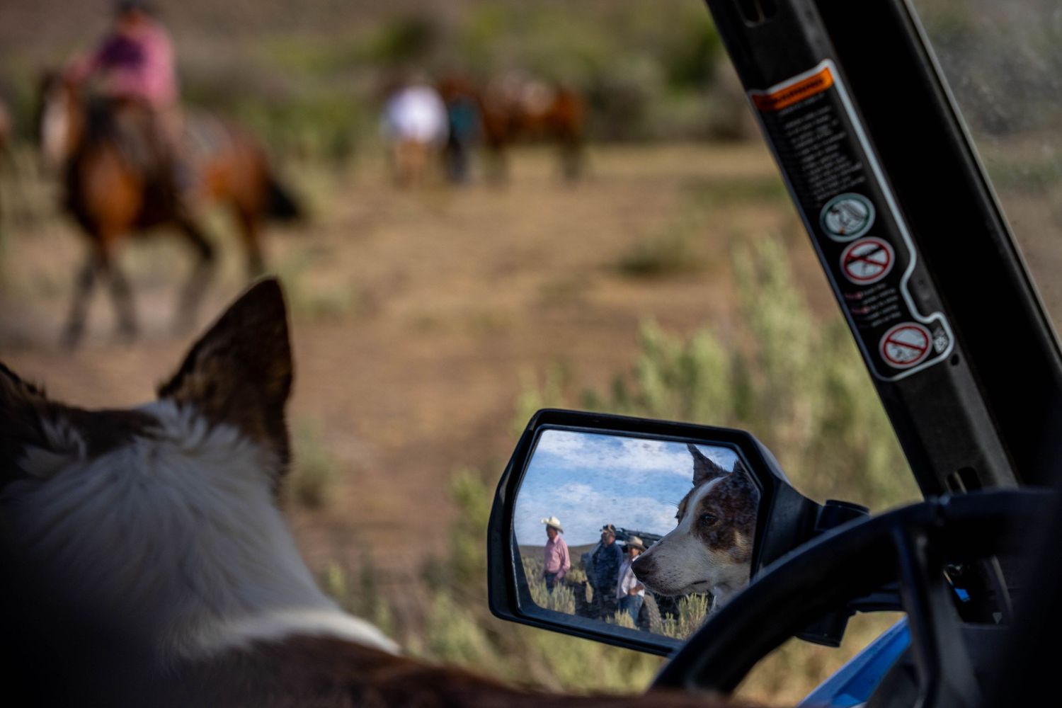 Horse riders and trusty cattle dog reflected in a side mirror of a vehicle while riding on a dusty trail.