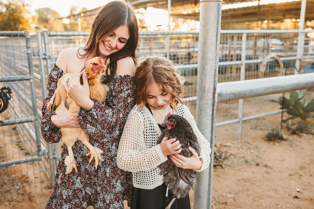 A woman and young girl laugh while holding chickens at a farm during golden hour at ranch in cherry valley